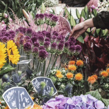 London: a Sunday in Columbia Road