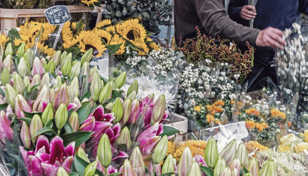 London: a Sunday in Columbia Road