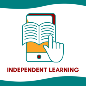 Online Independent Learning