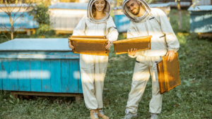 Beekeeping Adventure