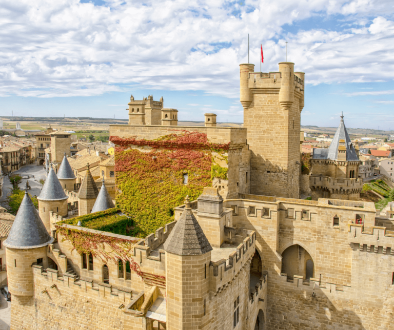 Medieval Castle Olite Navarra