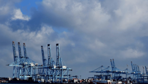 What industry is Cádiz famous for?