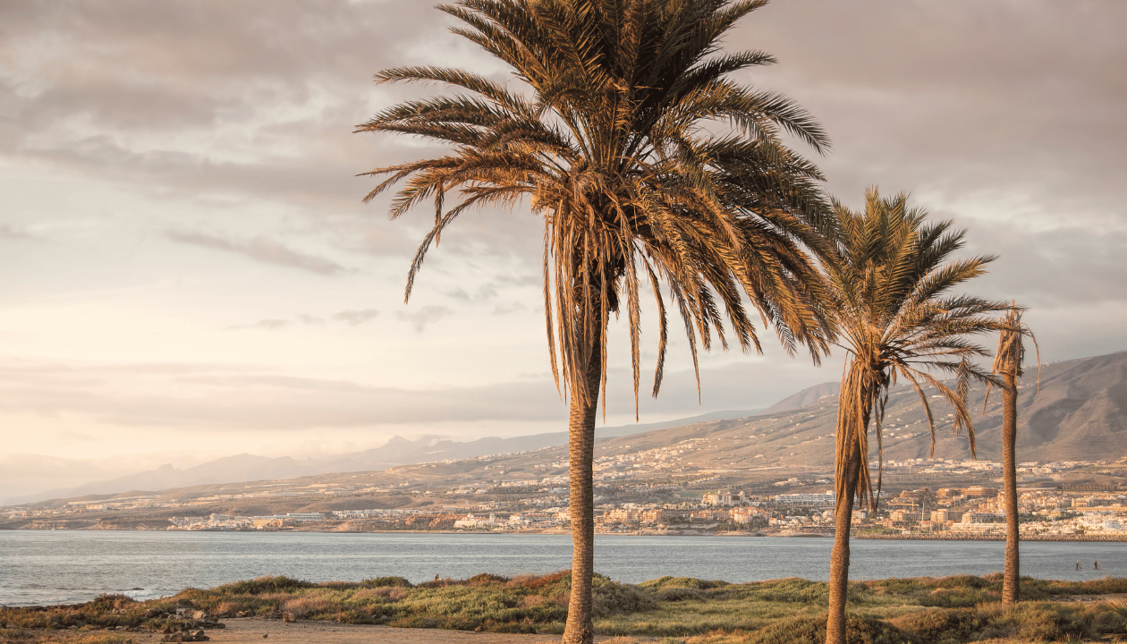 20. Tenerife | Spain