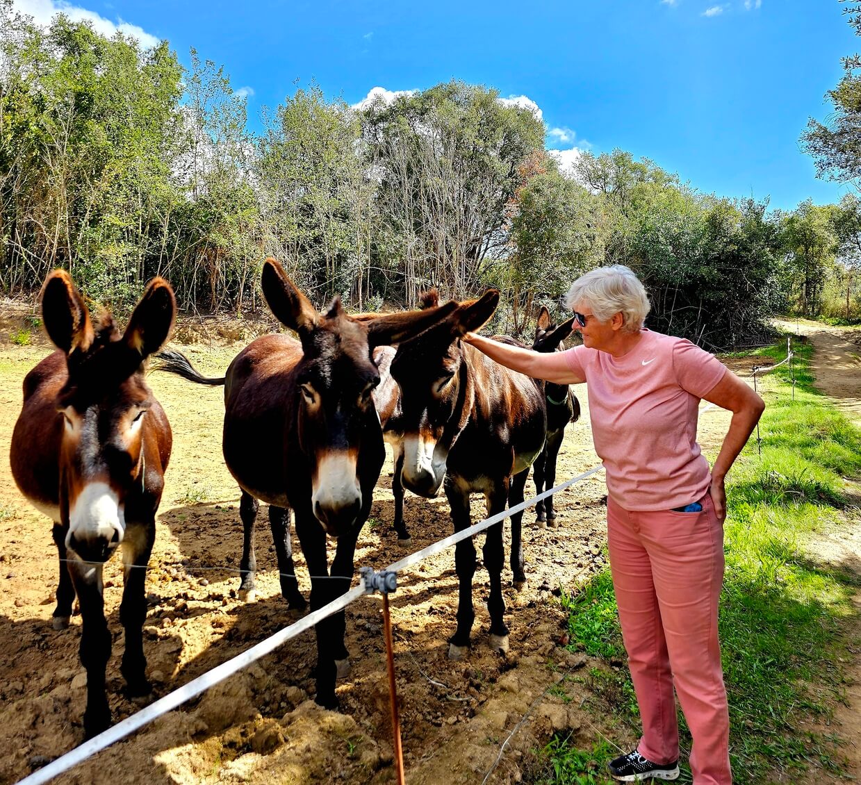 Third age student petting donkeys at the Rukimon reserve