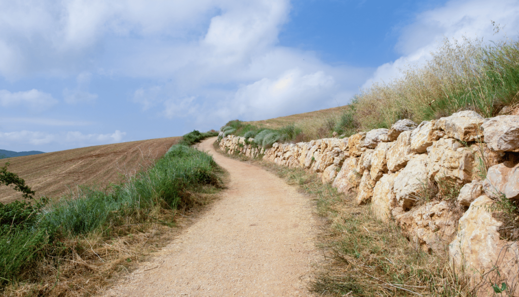 Camino de Santiago Routes Across Spain