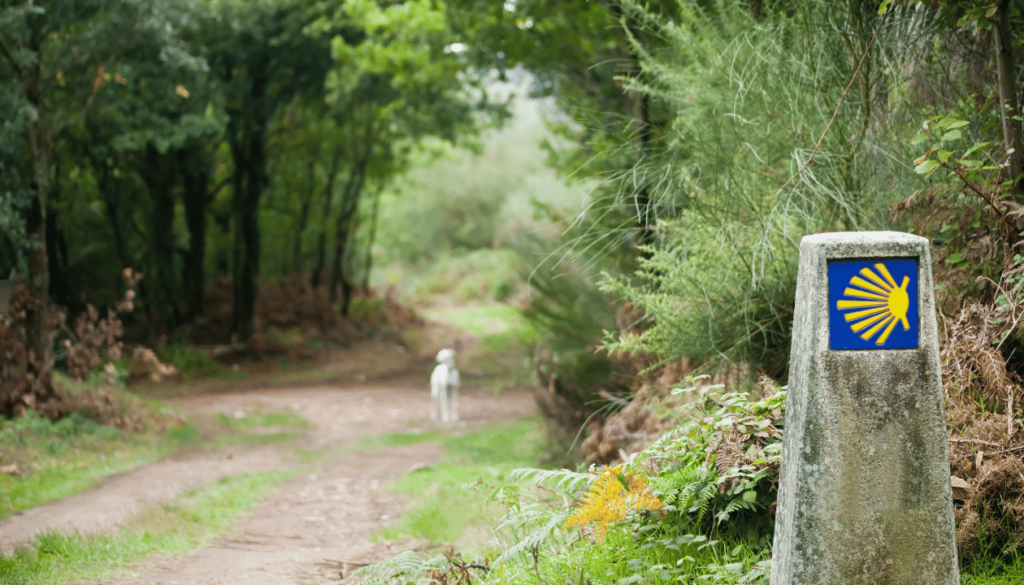 The Camino de Santiago: An Overview of Spain’s Pilgrimage Routes