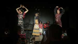 Accessibility and Inclusivity