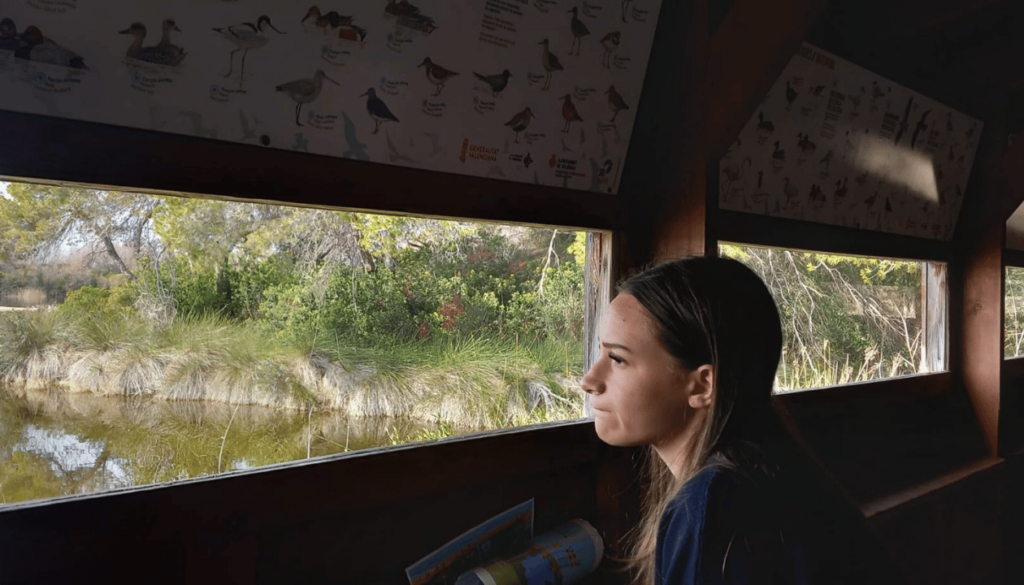 Tranquility and Birdsongs at La Albufera Natural Park
