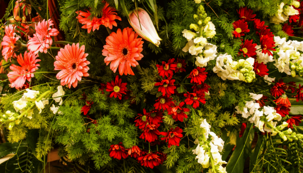 2. Watch the Flower Battle in the Alameda