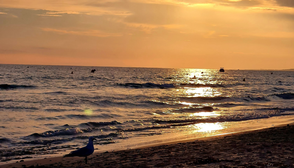 Menorca Month-by-Month Guide