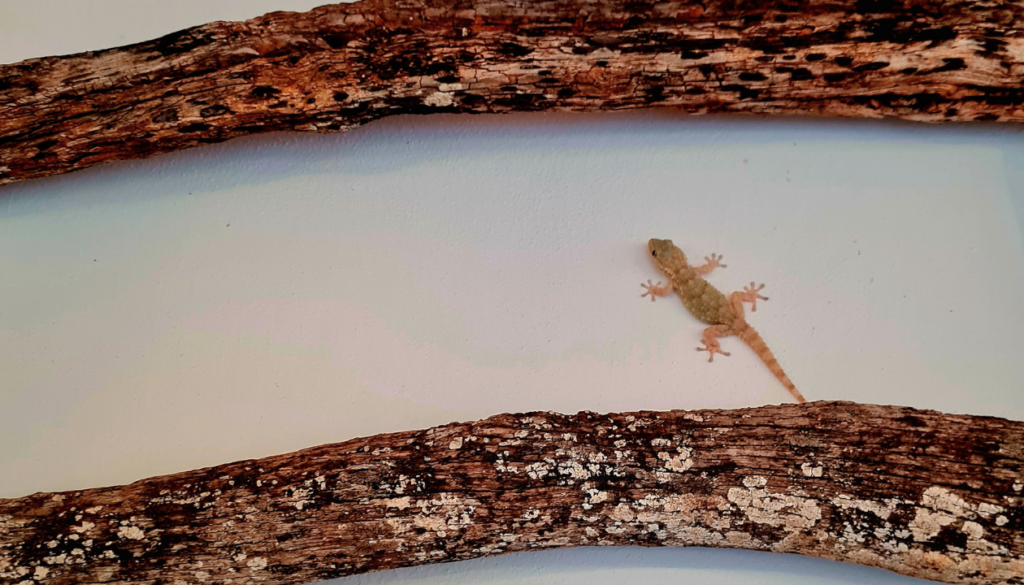 Best Time to Visit Menorca for Different Travelers