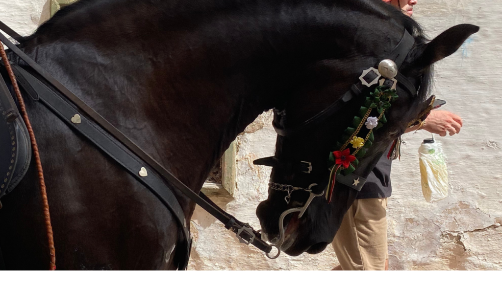 The Local Community: Heartbeat of the Festes