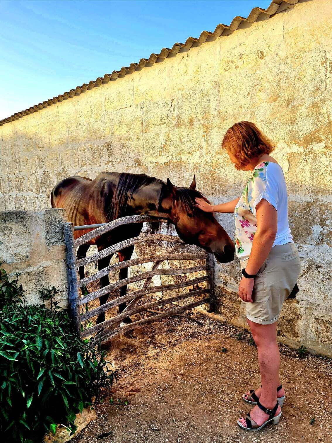 student with horse