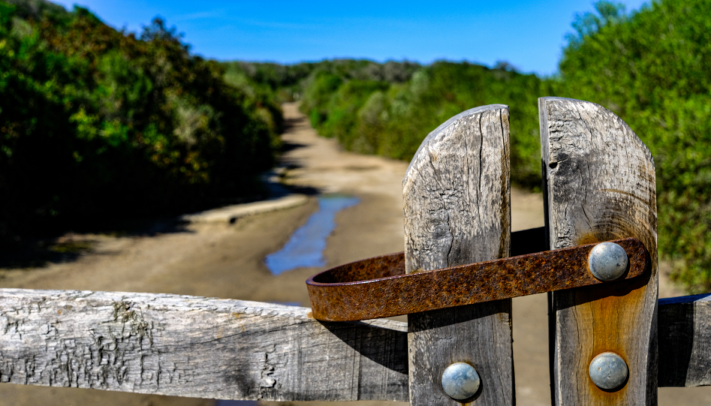 Discovering Menorca’s Natural Beauty