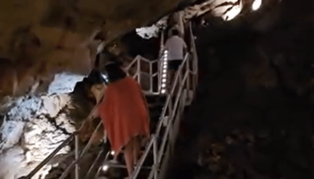 Guided Tours and Visitor Experience