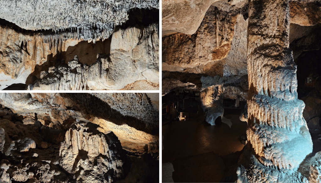 Experience Menorca Like a Local with Our Spanish Homestay Immersion Program (SHIP)