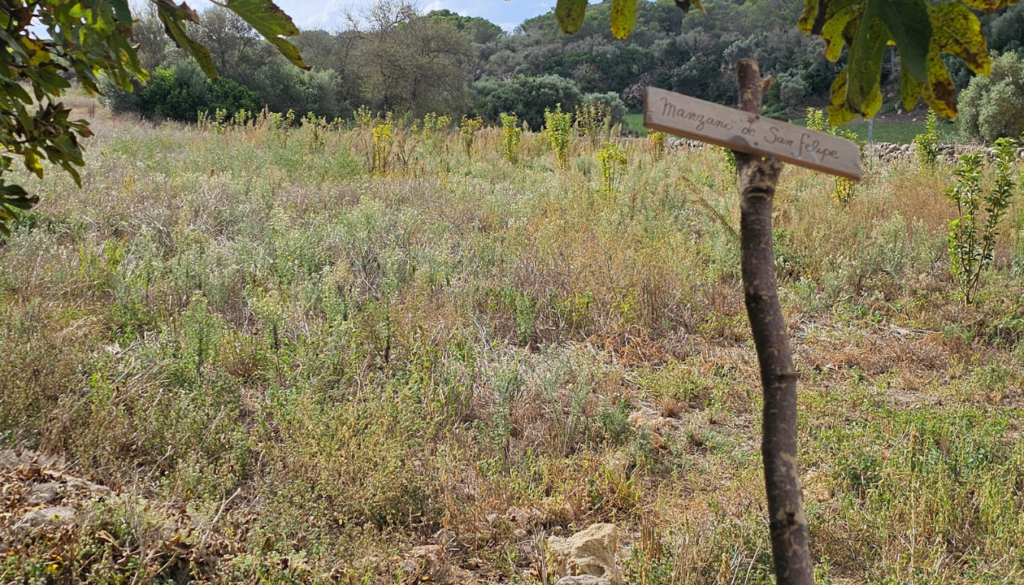 3. A Circular Economy Model