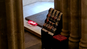 A Living Vision of Faith and Nature