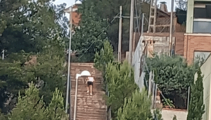 Start Your Own Spanish Homestay Adventure in Valencia