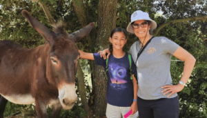 Taxes for American Expats: The Big Picture