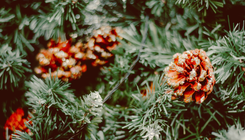 1) Before Christmas: Winter Festivals, Evergreens, and the Roman Mood