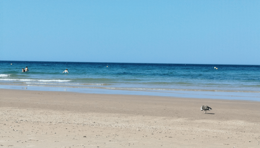 Arrival and Transportation