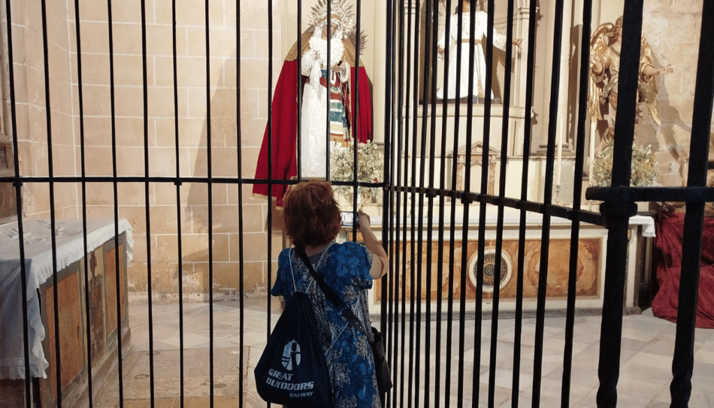 Student Testimonials and Reviews