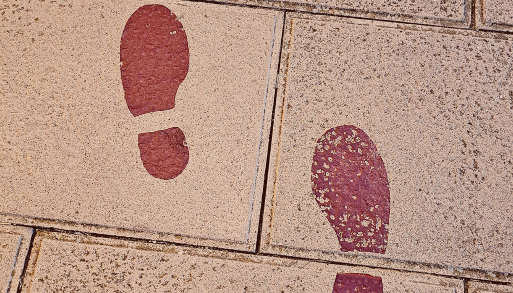 A Pleasant Walk from the City Center to the Coast