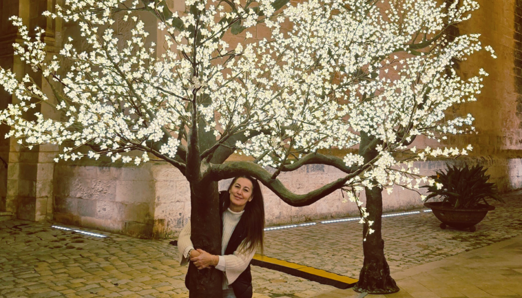 Christmas Market and Town Walks