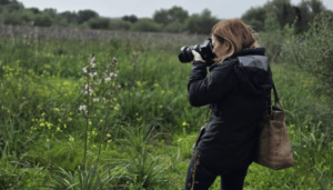 Archaeology and Ongoing Study