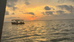 Sunset Boat Ride at La Albufera