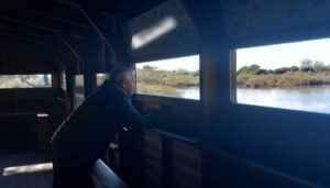 A Peaceful Day at La Albufera