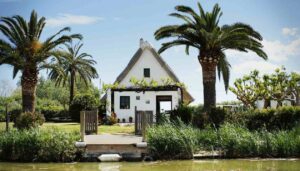 El Palmar de Valencia: Paella, Rice Fields, and Sunsets